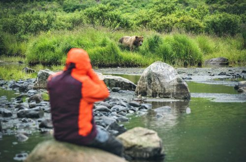 Dan M Lee in an orange jacket sits on rocks near a riverbank, photographing or observing a brown bear in the grass across the water, surrounded by green vegetation.