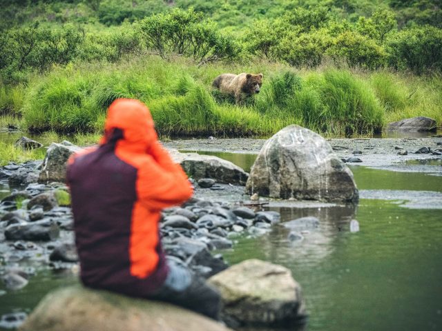 Essential Camera Gear for Bear Viewing