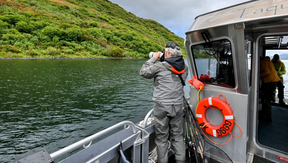 Discover how the Kodiak Bear Center and its partners work to conserve the iconic Kodiak bear through research, habitat protection, education, and sustainable tourism.