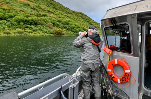 Discover how the Kodiak Bear Center and its partners work to conserve the iconic Kodiak bear through research, habitat protection, education, and sustainable tourism.