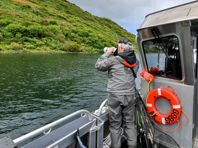 Guardians of the Island: How We Work to Conserve the Kodiak Bear