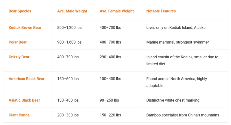Bear Facts Archives — Kodiak Bear Center and Lodge