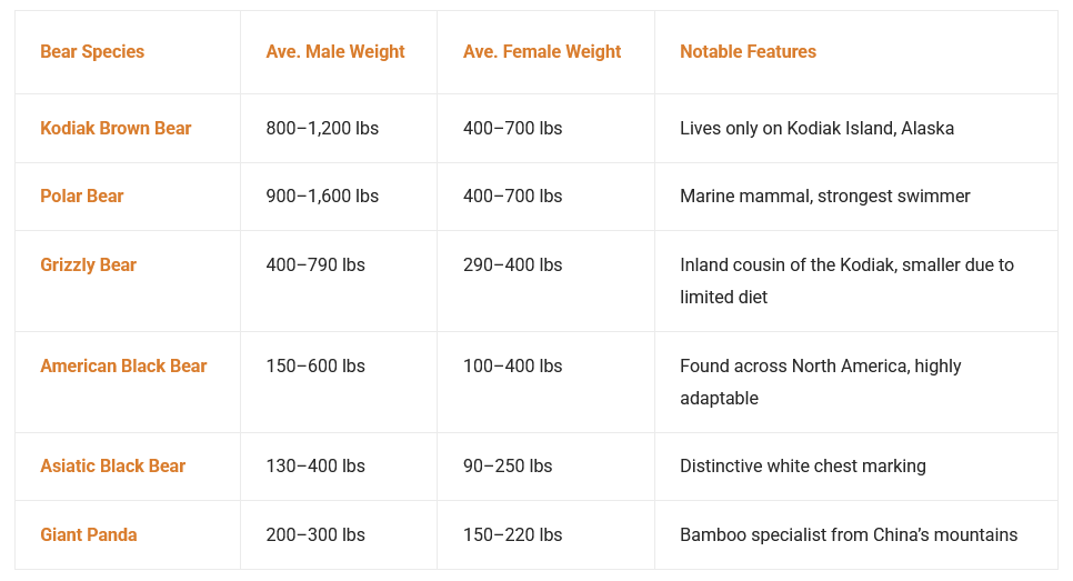 A table compares six bear species by average male and female weights and notable features. Species listed: Kodiak Brown, Polar, Grizzly, American Black, Asiatic Black, and Giant Panda.
