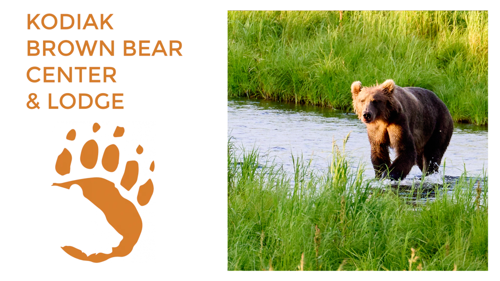 A Kodiak brown bear stands in a grassy stream on the right. On the left, orange text reads “Kodiak Brown Bear Center Lodge” above a bear paw print logo.