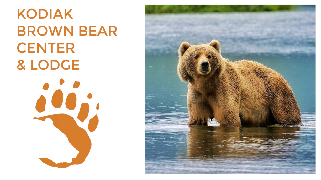 A brown bear stands in shallow water. Text reads Kodiak Brown Bear Center Lodge with an orange bear paw print graphic beside the bear photo.